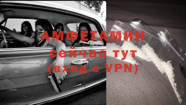 винт Алзамай