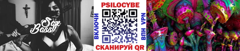 где продают   darknet телеграм  Галлюциногенные грибы мухоморы  Байкальск 